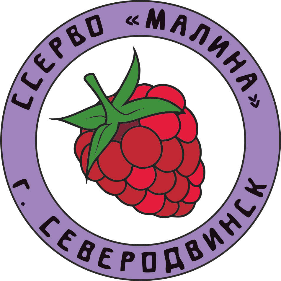 Штаб СО г. Северодвинска — ШТАБ МОЛОДЕЖНЫХ ТРУДОВЫХ ОТРЯДОВ АРХАНГЕЛЬСКОЙ  ОБЛАСТИ